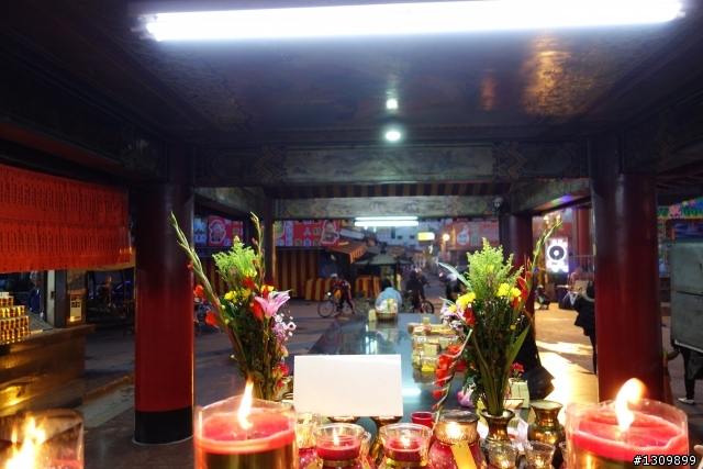 2013挑戰杉林溪兩大美景,洛陽牡丹、忘憂森林,