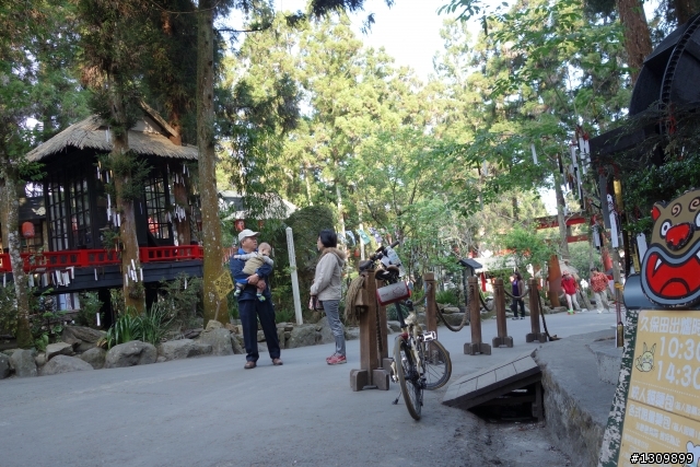 2013挑戰杉林溪兩大美景,洛陽牡丹、忘憂森林,