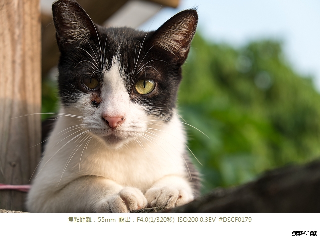 復古外觀,經典內涵 Fujifilm X-E1 心得分享