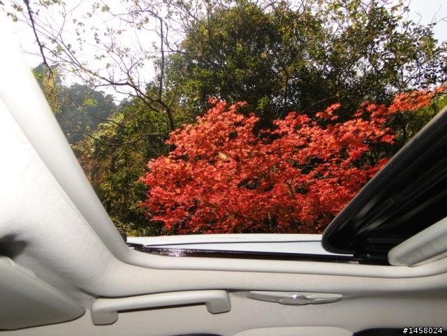 Ford Focus 1 日北橫山道試乘
