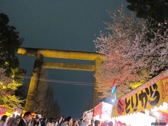 日大大さくら祭り/千鳥之淵/靖國神社/新宿御苑/目黑川賞櫻