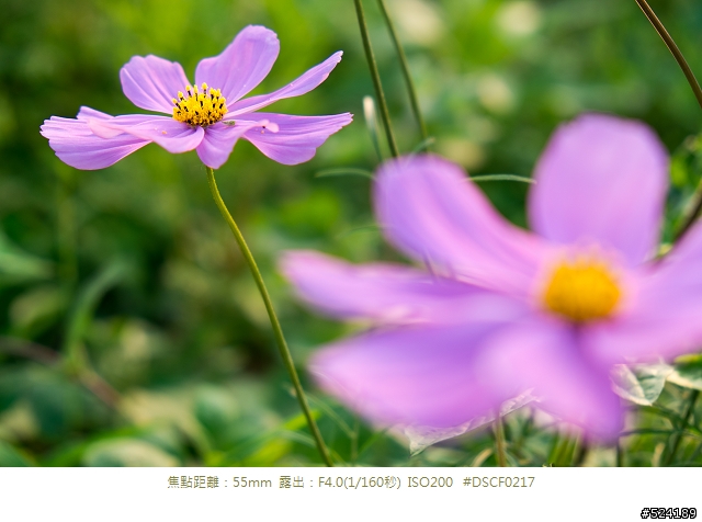 復古外觀,經典內涵 Fujifilm X-E1 心得分享
