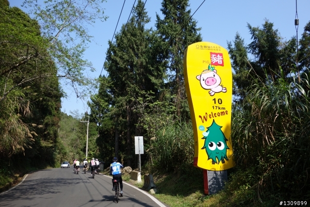 2013挑戰杉林溪兩大美景,洛陽牡丹、忘憂森林,