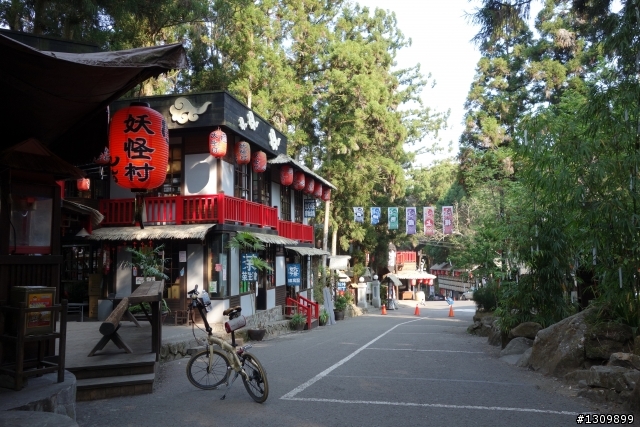 2013挑戰杉林溪兩大美景,洛陽牡丹、忘憂森林,