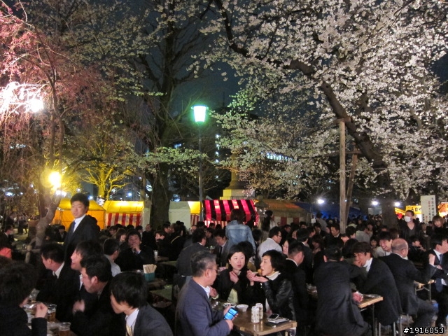 日大大さくら祭り/千鳥之淵/靖國神社/新宿御苑/目黑川賞櫻