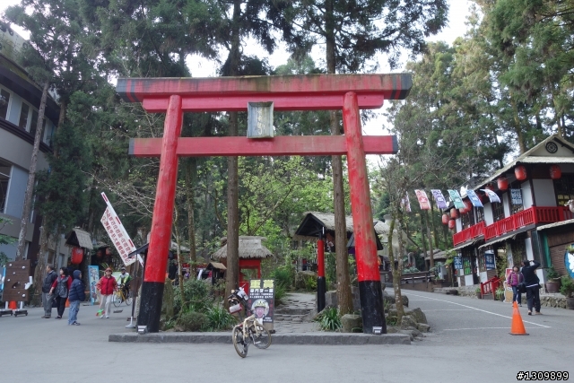 2013挑戰杉林溪兩大美景,洛陽牡丹、忘憂森林,