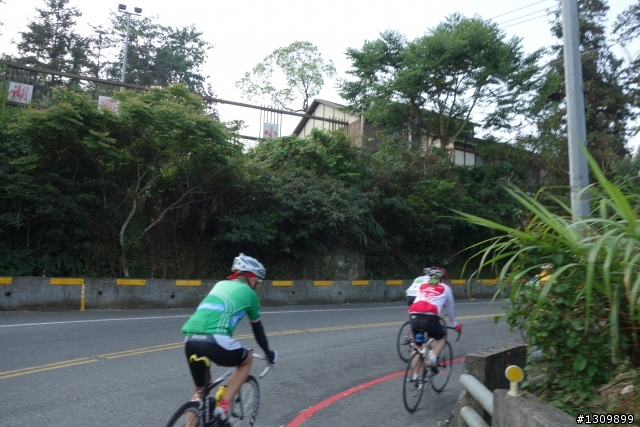 2013挑戰杉林溪兩大美景,洛陽牡丹、忘憂森林,