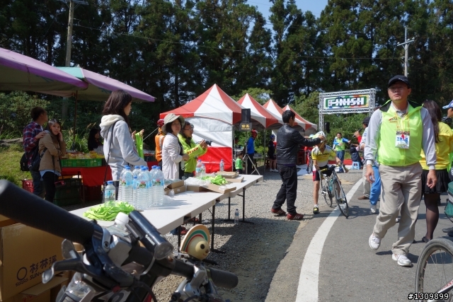 2013挑戰杉林溪兩大美景,洛陽牡丹、忘憂森林,