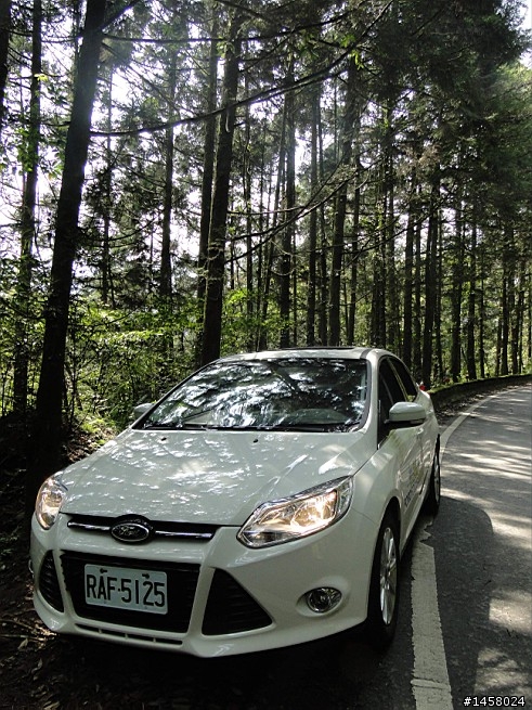 Ford Focus 1 日北橫山道試乘