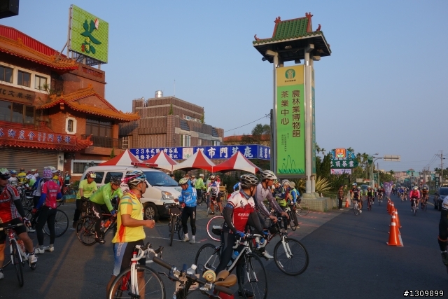 2013挑戰杉林溪兩大美景,洛陽牡丹、忘憂森林,