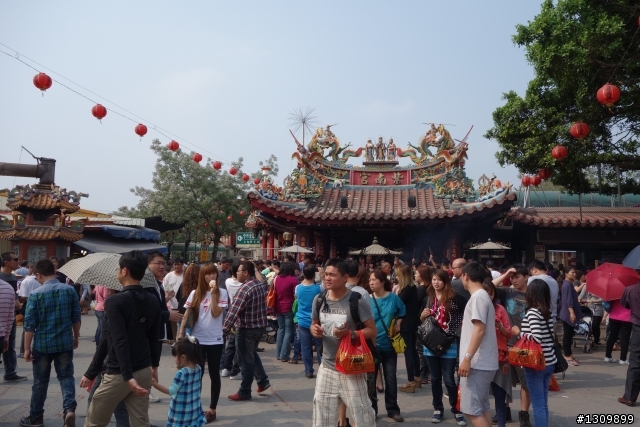 2013挑戰杉林溪兩大美景,洛陽牡丹、忘憂森林,