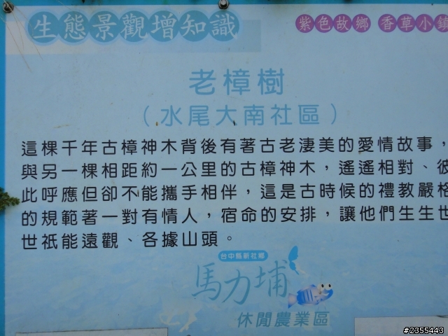 台中市新社山區鄉道與東勢「中47鄉道」漫遊 2012-10-06補記
