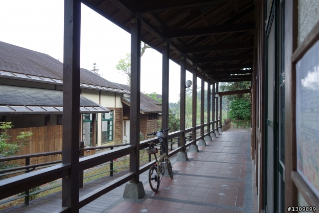 2013挑戰杉林溪兩大美景,洛陽牡丹、忘憂森林,