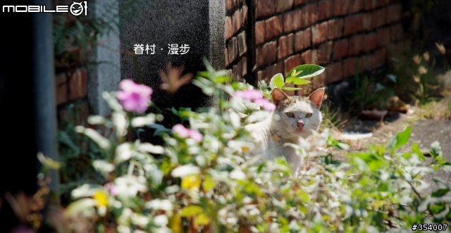 左營復興新村 最後巡禮