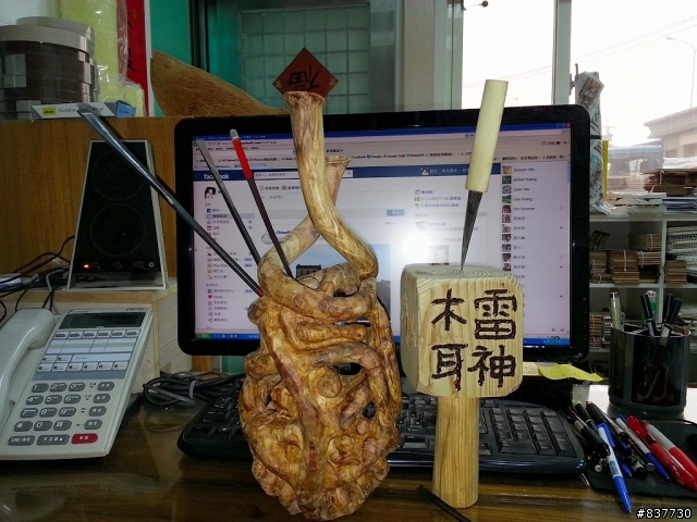 漂流木之起始回生