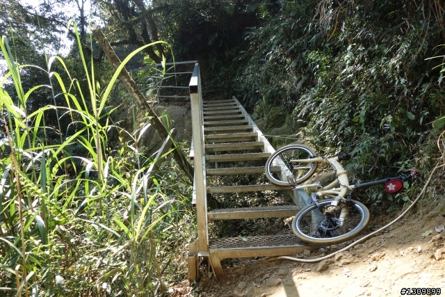 2013挑戰杉林溪兩大美景,洛陽牡丹、忘憂森林,