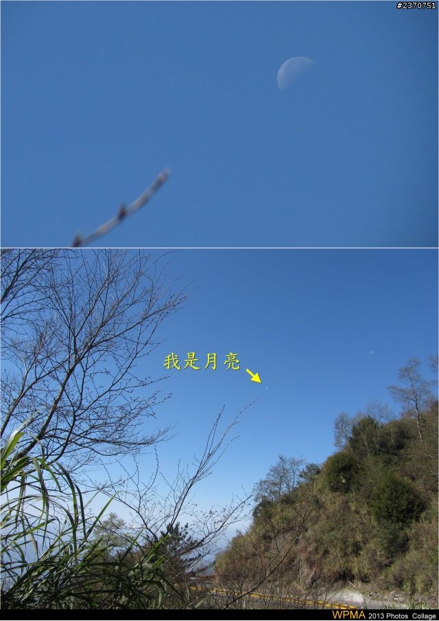 清境-武嶺單車一日輕鬆騎