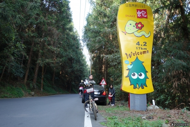2013挑戰杉林溪兩大美景,洛陽牡丹、忘憂森林,