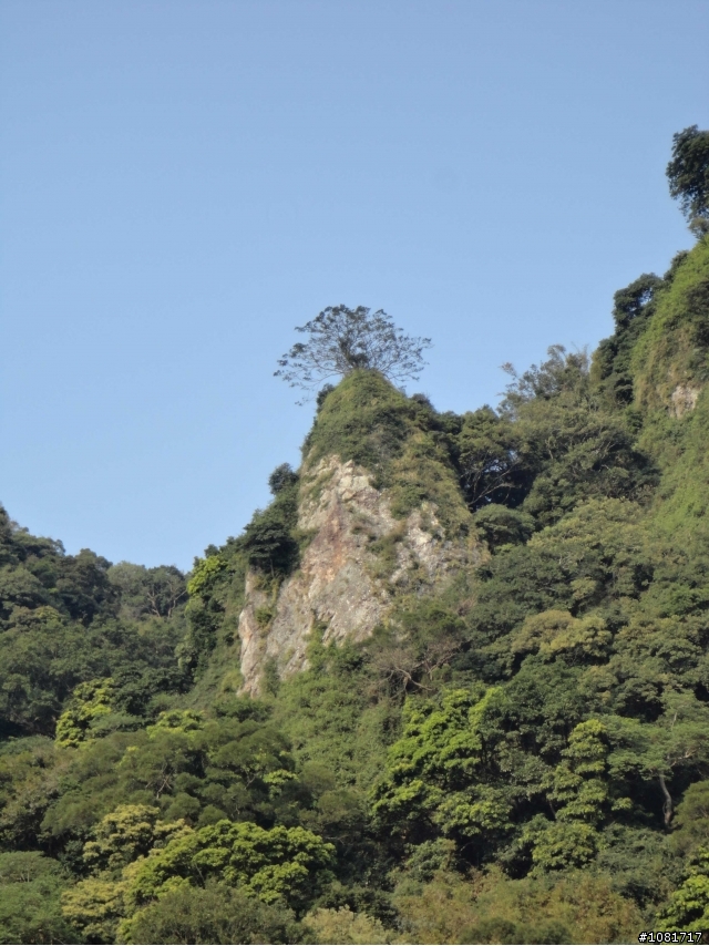 觀音山半日遊:凌雲禪寺與鄰近景點