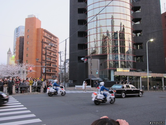 日大大さくら祭り/千鳥之淵/靖國神社/新宿御苑/目黑川賞櫻