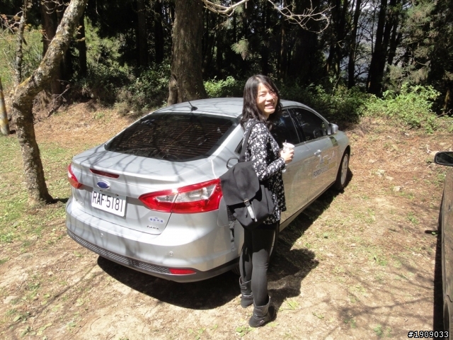 福特FOCUS 24小時試駕之阿里山賞花行
