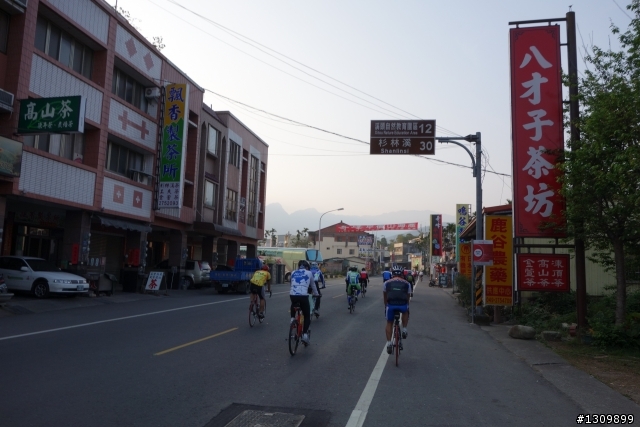2013挑戰杉林溪兩大美景,洛陽牡丹、忘憂森林,