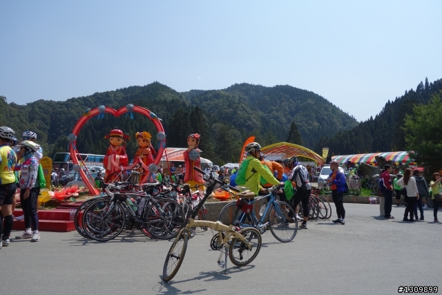 2013挑戰杉林溪兩大美景,洛陽牡丹、忘憂森林,