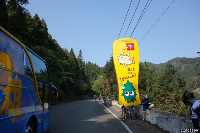 2013挑戰杉林溪兩大美景,洛陽牡丹、忘憂森林,