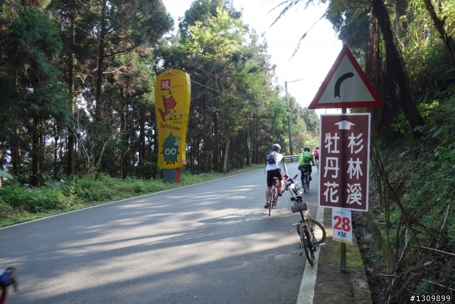 2013挑戰杉林溪兩大美景,洛陽牡丹、忘憂森林,