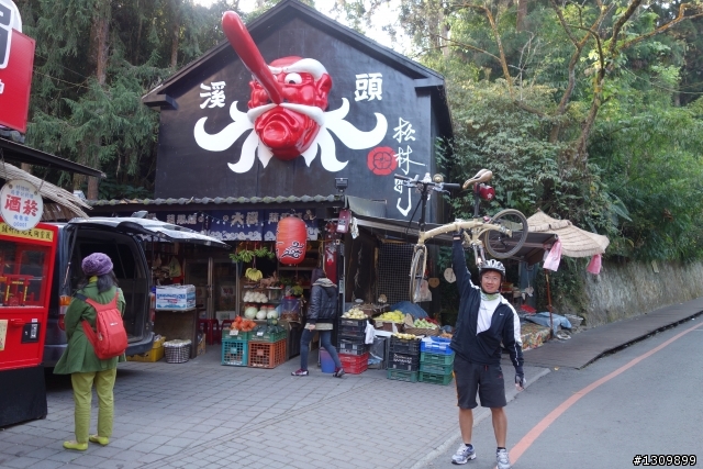 2013挑戰杉林溪兩大美景,洛陽牡丹、忘憂森林,