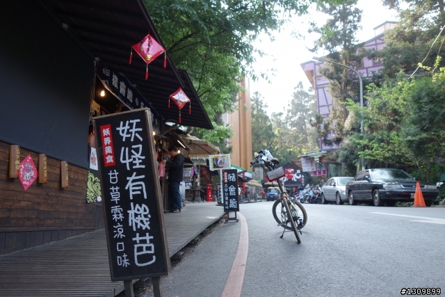 2013挑戰杉林溪兩大美景,洛陽牡丹、忘憂森林,