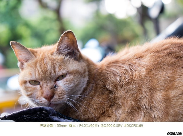 復古外觀,經典內涵 Fujifilm X-E1 心得分享