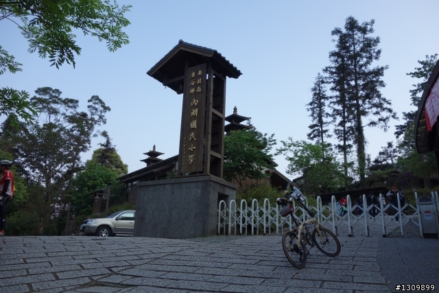 2013挑戰杉林溪兩大美景,洛陽牡丹、忘憂森林,