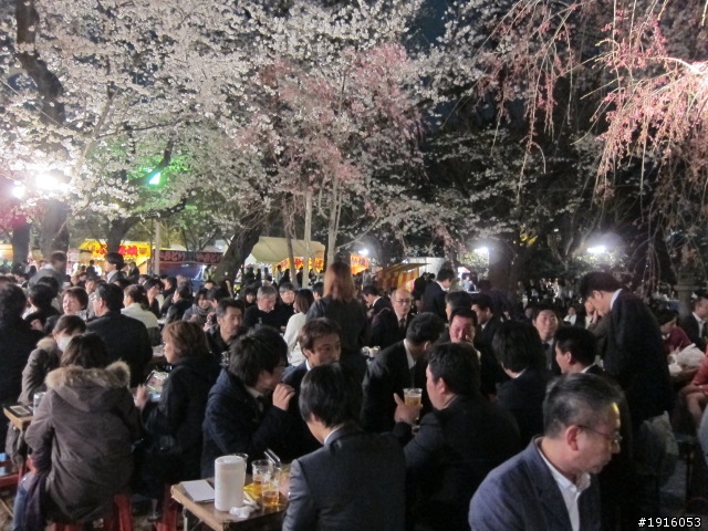 日大大さくら祭り/千鳥之淵/靖國神社/新宿御苑/目黑川賞櫻