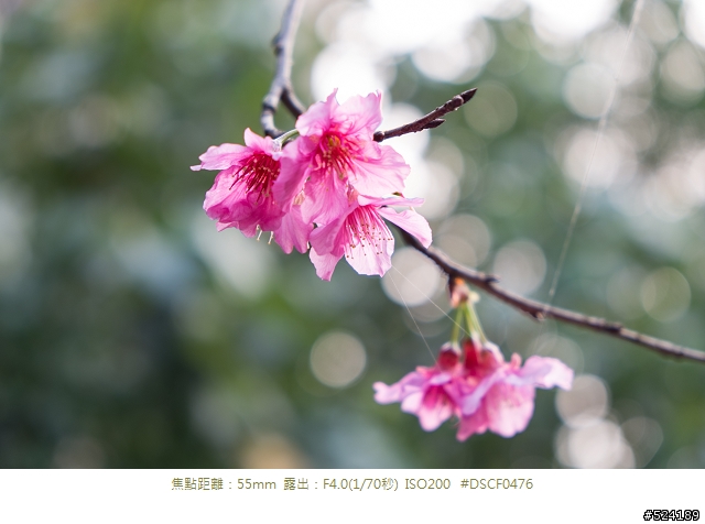 復古外觀,經典內涵 Fujifilm X-E1 心得分享