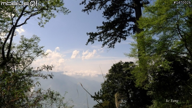 瘋狂舉指! 狂樂遊 NO.8 郡大林道 漫步在雲端