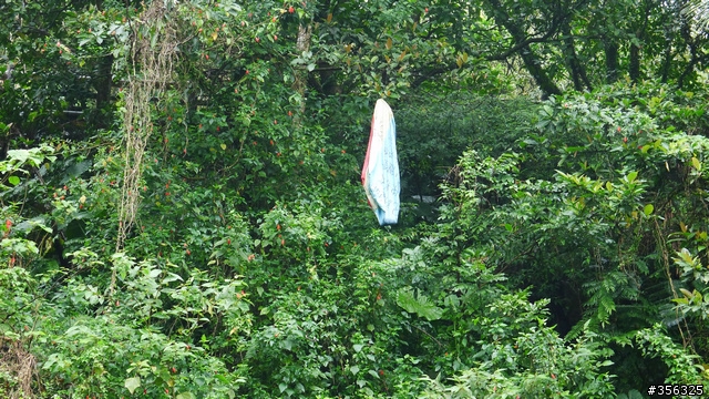 百騎不厭、百看不膩~102道路賞杜鵑、逛牡丹。