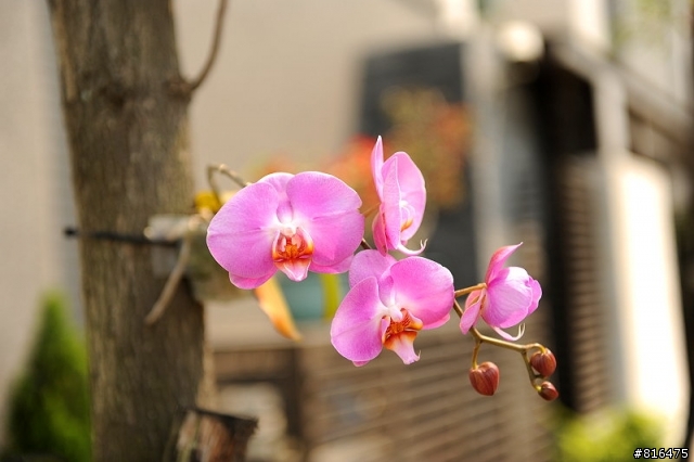 風和日麗 . 新屋開箱