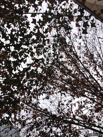 來去德州當牛仔!一人一車、4503km的RV洲際重機之旅 day5~6