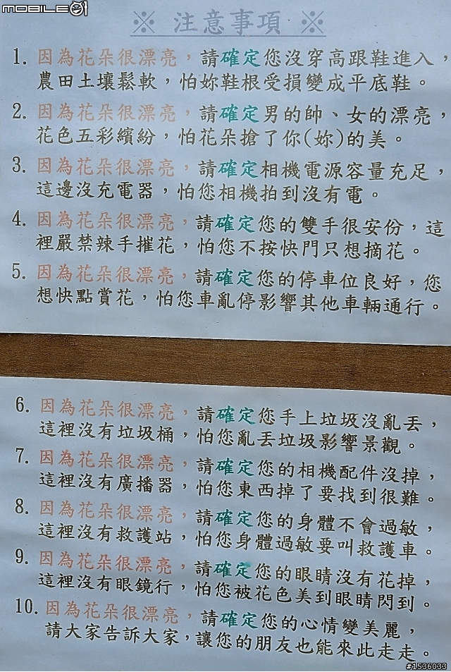 台南學甲竹竿花(蜀葵、一丈紅)