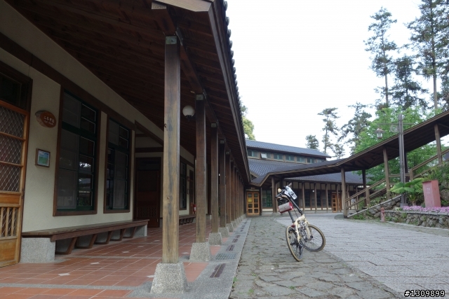 2013挑戰杉林溪兩大美景,洛陽牡丹、忘憂森林,
