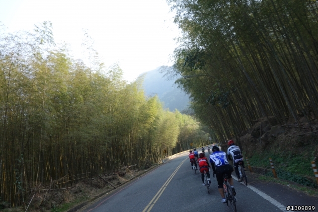 2013挑戰杉林溪兩大美景,洛陽牡丹、忘憂森林,