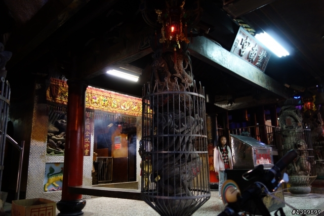 2013挑戰杉林溪兩大美景,洛陽牡丹、忘憂森林,