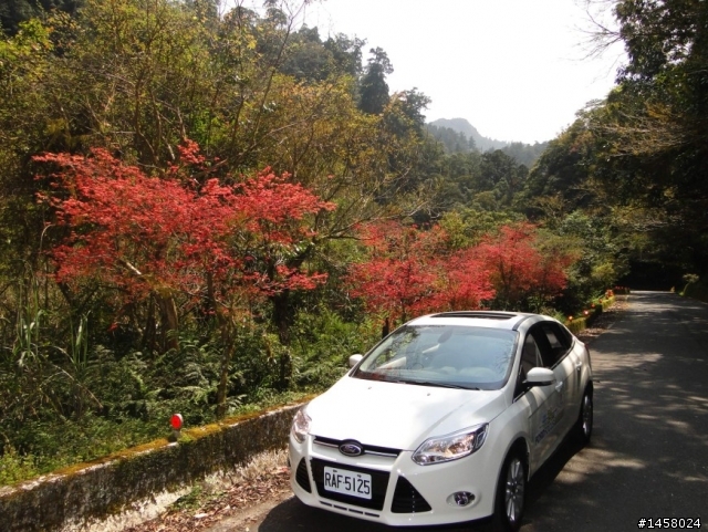 Ford Focus 1 日北橫山道試乘