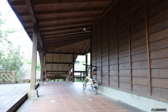 2013挑戰杉林溪兩大美景,洛陽牡丹、忘憂森林,