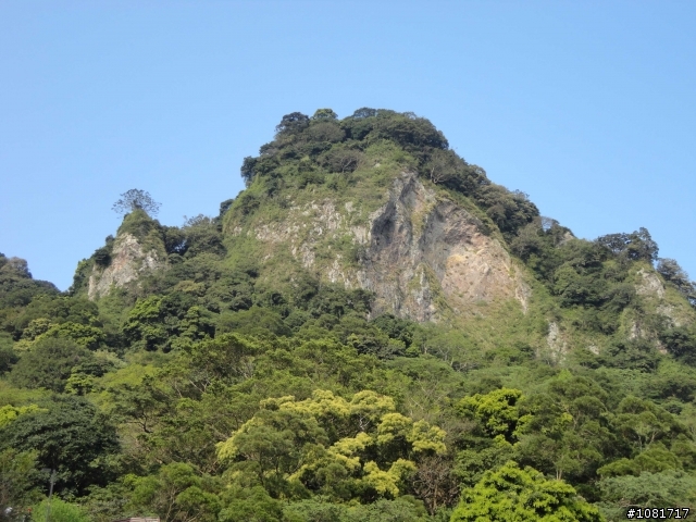 觀音山半日遊:凌雲禪寺與鄰近景點