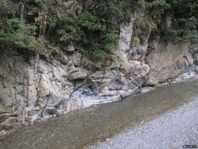 Focus 花蓮試駕輕旅行