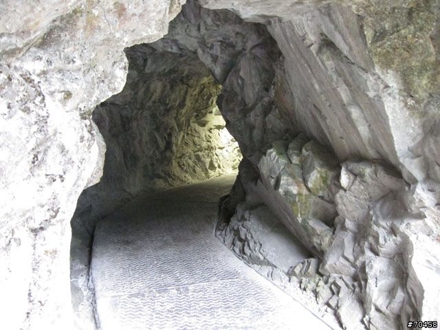 Focus 花蓮試駕輕旅行