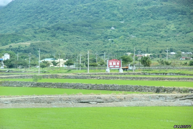 騎 跨「地 球 板 塊 」-- 玉 富 自 行 車 道