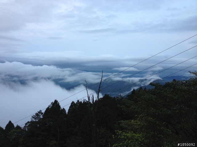 2013 THE ALL-NEW FOCUS 24小時免費開回家(宜蘭太平山之旅)